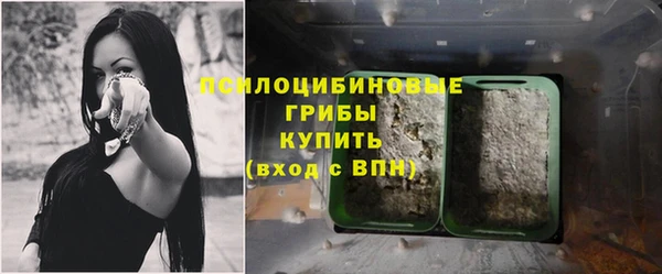 меф Арсеньев