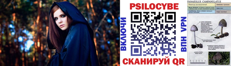 Псилоцибиновые грибы Psilocybine cubensis  Советская Гавань 
